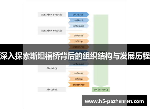 深入探索斯坦福桥背后的组织结构与发展历程 深入探索斯坦福桥背后的组织结构与发展历程