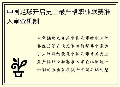 中国足球开启史上最严格职业联赛准入审查机制